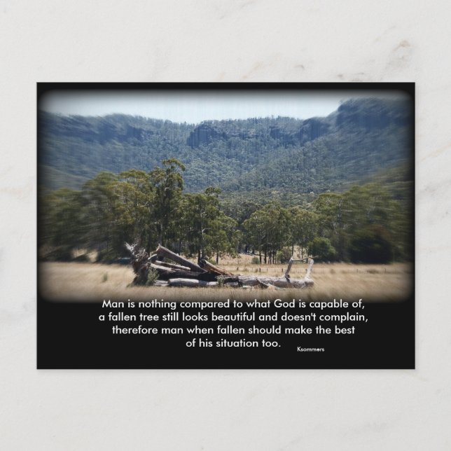 The Sleepy Log, Man is nothing compared to what... Postcard (Front)