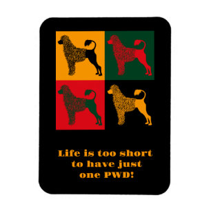 The smart Portuguese water dog Magnet