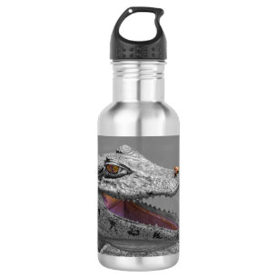 The smiling crocodile and the flies - Costa Rica 532 Ml Water Bottle