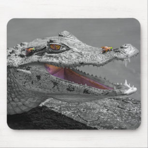 The smiling crocodile and the flies - Costa Rica Mouse Pad
