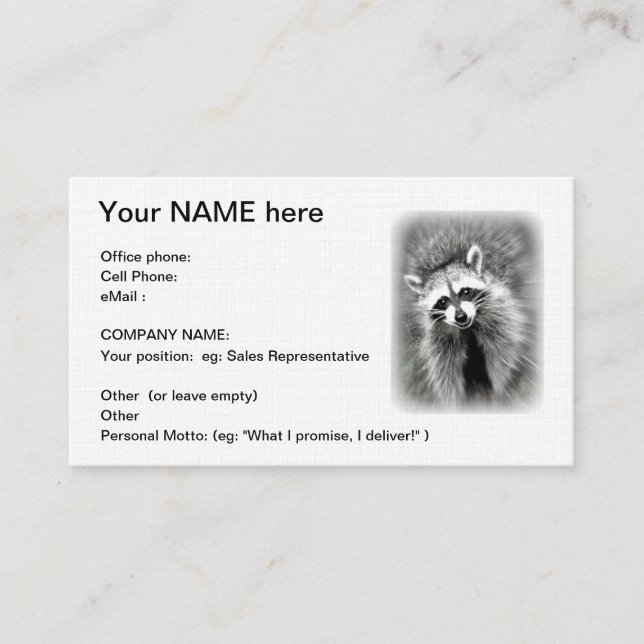 The smiling racoon business card (Front)