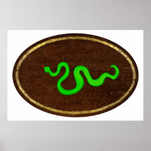 The Snake 2009 Poster
