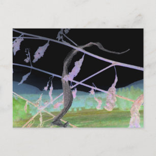 "The Snake's Farewell" Transformed Snakeskin Postcard