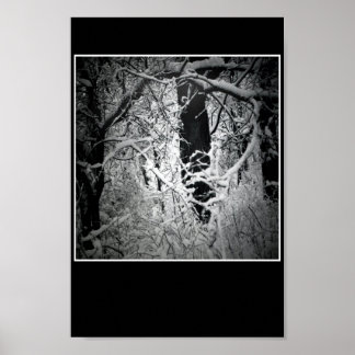 the snow queen's bower poster