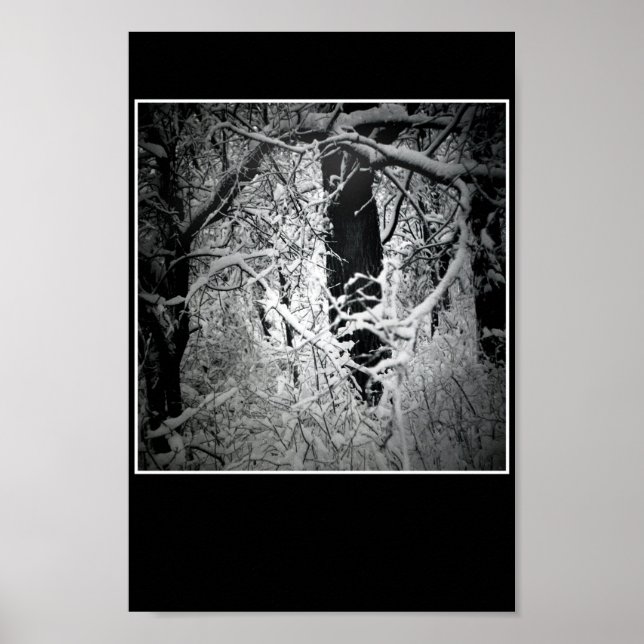 the snow queen's bower poster (Front)