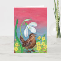 The snowdrop and the wren bird summon the spring