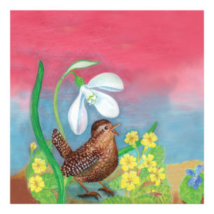 The snowdrop and the wren bird summon the spring photo print