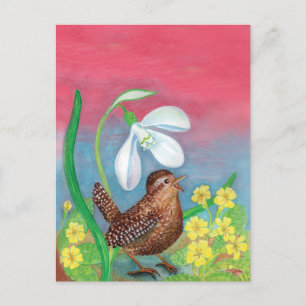 The snowdrop and the wren bird summon the spring  postcard