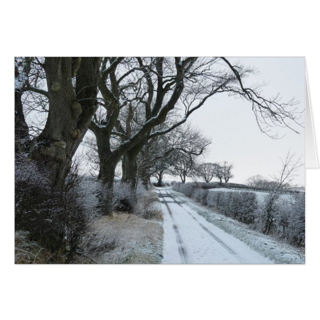 "The Snowy Lane" Northumberland England (Front Horizontal)