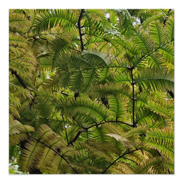 The soft conquers the hard poster (Front)