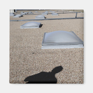 The solar day lighting system magnet