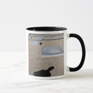 The solar day lighting system mug