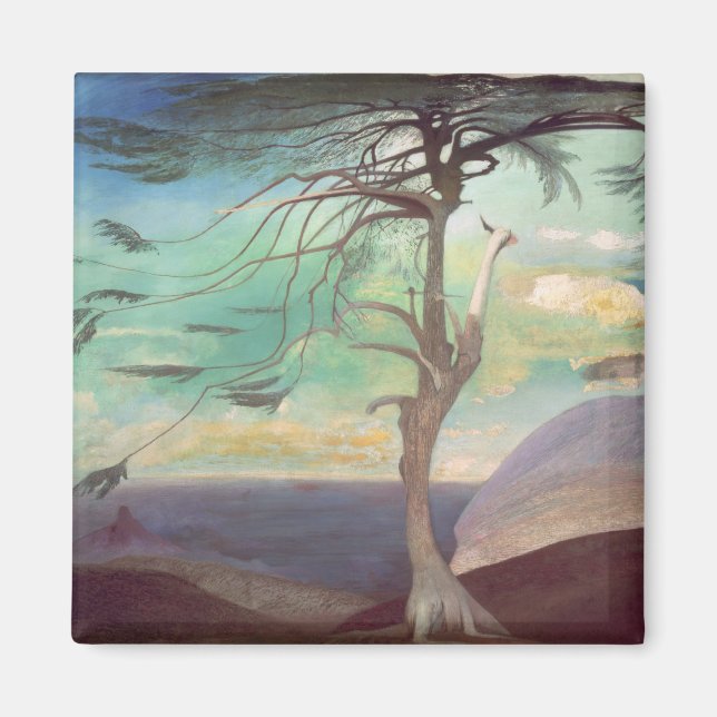 The Solitary Cedar, 1907 Magnet (Front)