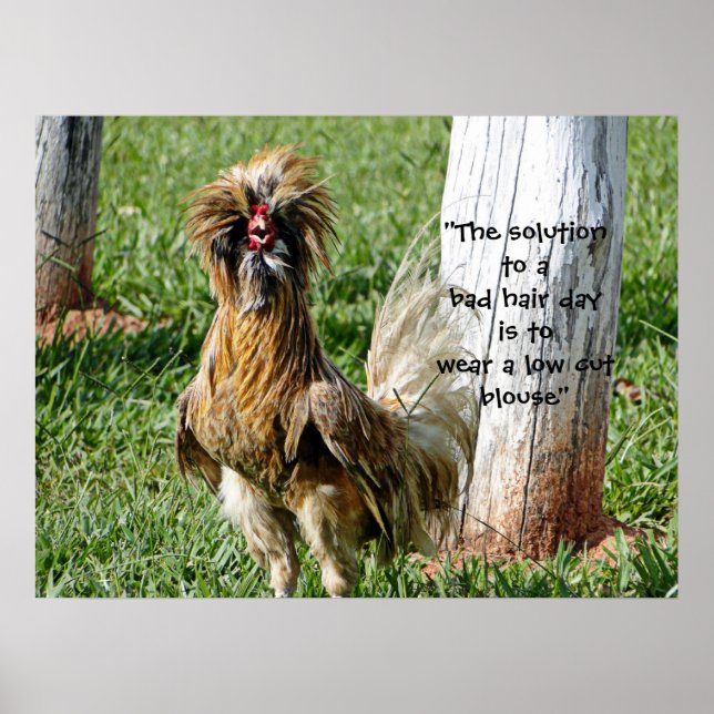 The Solution to a Bad Hair Day Humour Poster (Front)