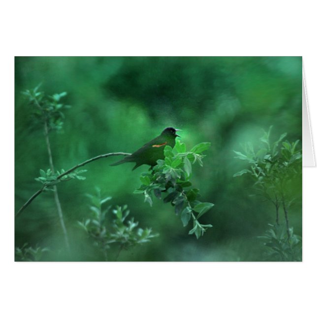 The Song (Front Horizontal)