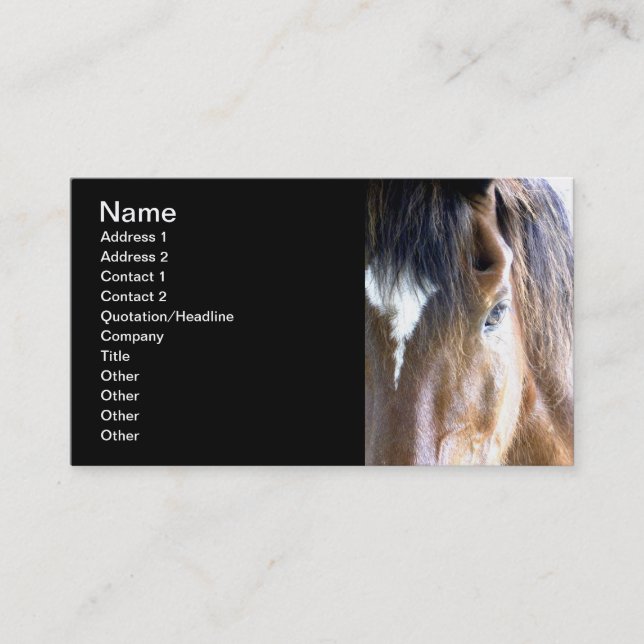 The Soul l Equine/Horse Related-Business Business Card (Front)