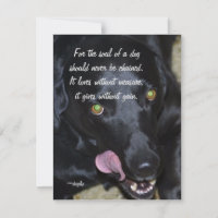 The Soul of a Dog - Black Lab