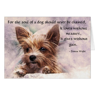 The Soul of a Dog - Yorkie