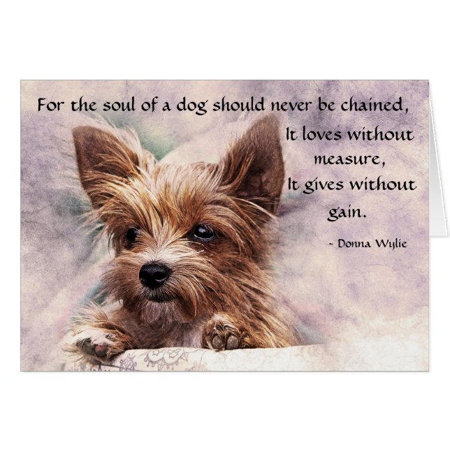 The Soul of a Dog - Yorkie (Front Horizontal)