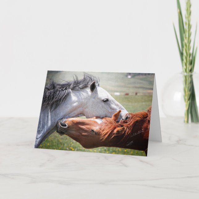 The soul of a horse! "Hug" Greeting Card (Front)