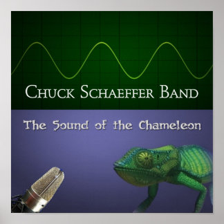 The Sound of the Chameleon Poster