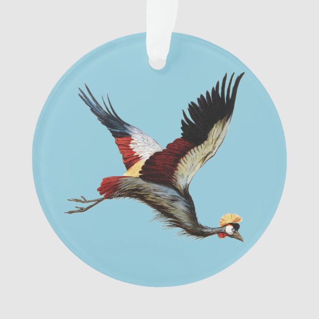 The South African crowned crane in mid-flight Ornament (Front)