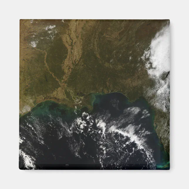 The southeastern United States Magnet | Zazzle