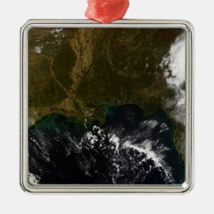 The southeastern United States Metal Ornament