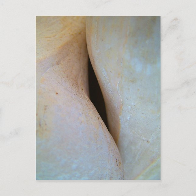 The Space Between Postcard (Front)