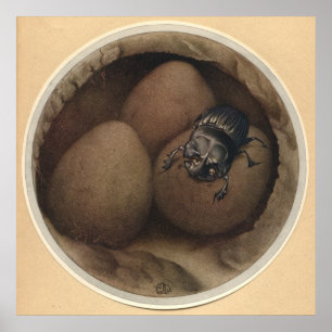 THE SPANISH COPRIS - Insect Book Illustration Poster