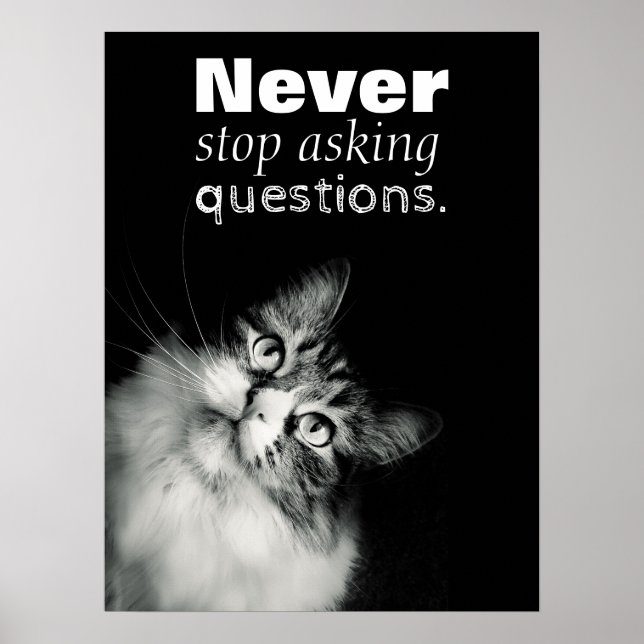 The Spark that Powers Learning Poster (Front)