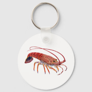 THE SPINEY ONE KEY RING
