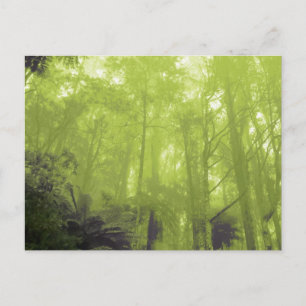 "The spirit in the trees" photo postcard