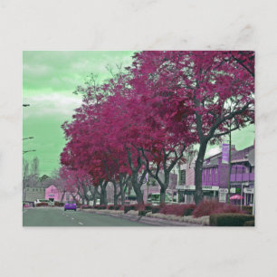 The Spring in the countryside Postcard