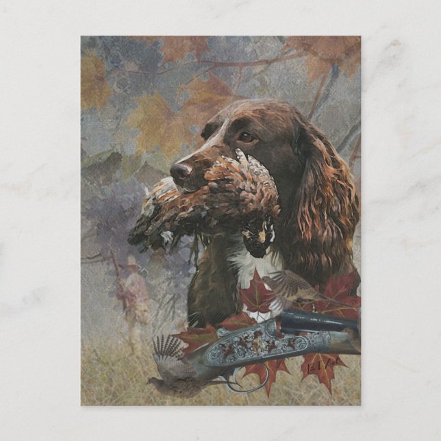 The Sprocker Spaniel , Gun dog art   Postcard (Front)