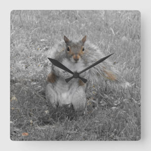The Squirrel Did It Square Wall Clock