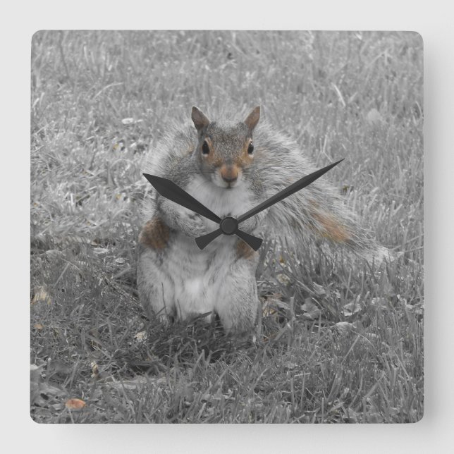 The Squirrel Did It Square Wall Clock (Front)