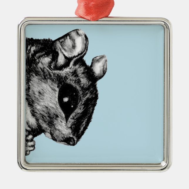 The Squirrel Metal Ornament (Front)