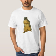 The Squirrel on Your Shirt!