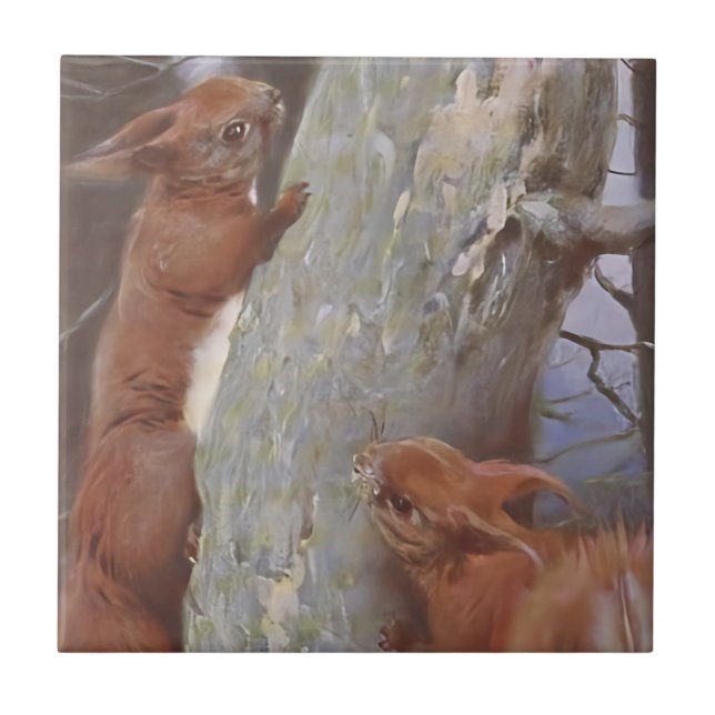 THE SQUIRREL (Sciurus vulgaris) Ceramic Tile (Front)