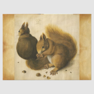 THE SQUIRREL WITH NUTS Albrecht Durer Parchment Tissue Paper