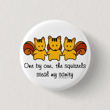 The squirrels steal my sanity