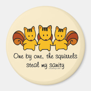 The squirrels steal my sanity Brown Magnet