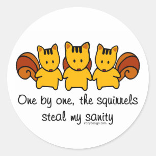 The squirrels steal my sanity classic round sticker
