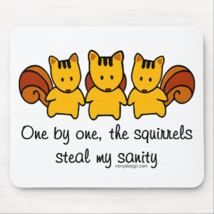 The squirrels steal my sanity mouse pad