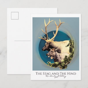 The Stag and The Hind Postcard