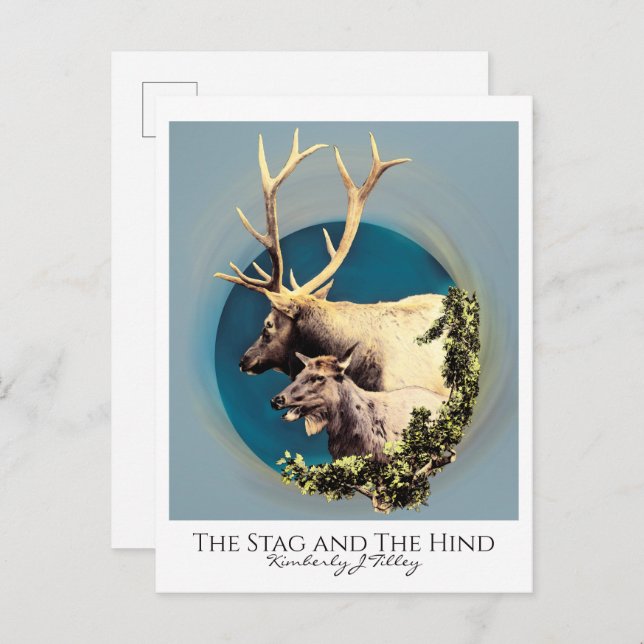 The Stag and The Hind Postcard (Front/Back)