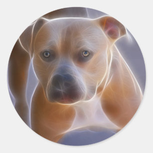 The Stance Classic Round Sticker