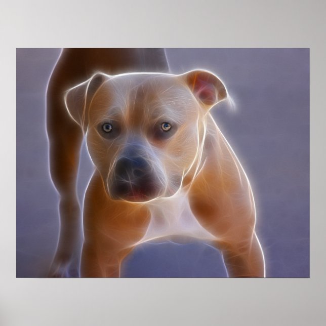 The Stance Poster (Front)