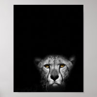 The stare, Leopard, black and white photograph